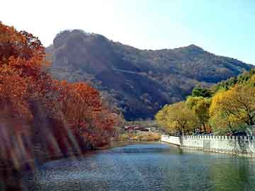 新澳门二四六天天开奖，日本大葱种植技术视频